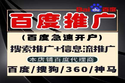 竞价广告案例分析：跨媒体广告投放策略